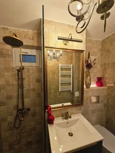 2 camere de vanzare | Piata Victoriei | Dr. Iacob Felix | Etaj 1 | Sector 1 - foto 5
