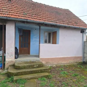 Casa cu Gradina si Teren, 4636 MP. Ghertenis - foto 11