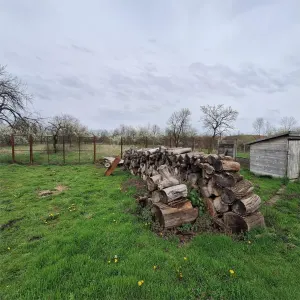 Casa cu Gradina si Teren, 4636 MP. Ghertenis - foto 8