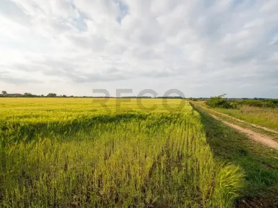 RECO teren extravilan 6400 mp cu dubla deschidere la strada - acces din Dex 16  si Episcopia - Oradea