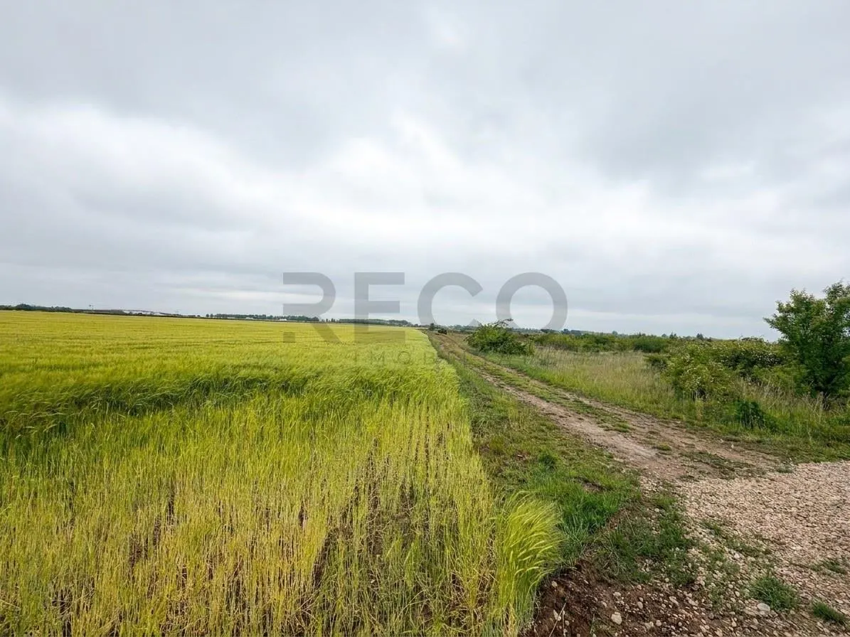 RECO teren extravilan 6400 mp cu dubla deschidere la strada - acces din Dex 16  si Episcopia - foto 3
