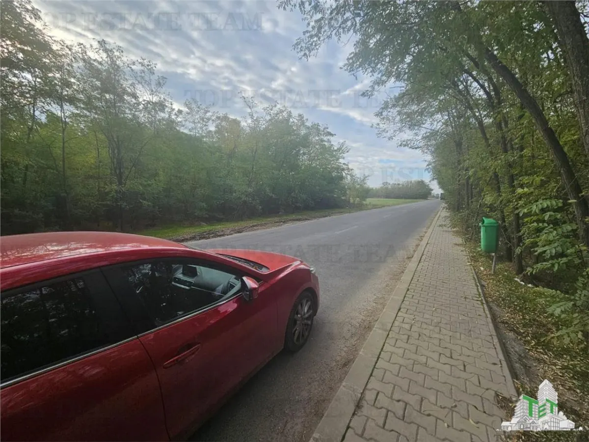 Teren 7500mp in liziera padurii in Dragomiresti-Deal - foto 1