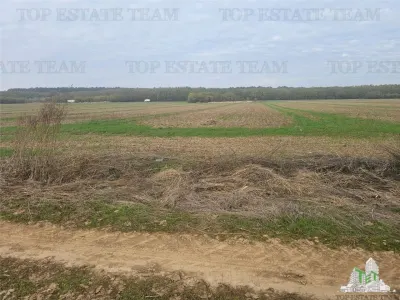 Teren 7500mp in liziera padurii in Dragomiresti-Deal - foto 3