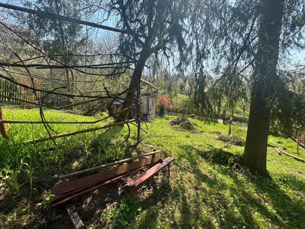 Casa cu teren - foto 4