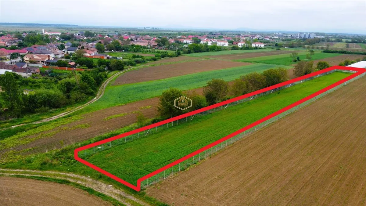 Teren 3.600 mÂ² in Odoreu | 7 km de Satu Mare | 160 m de Principala - foto 2