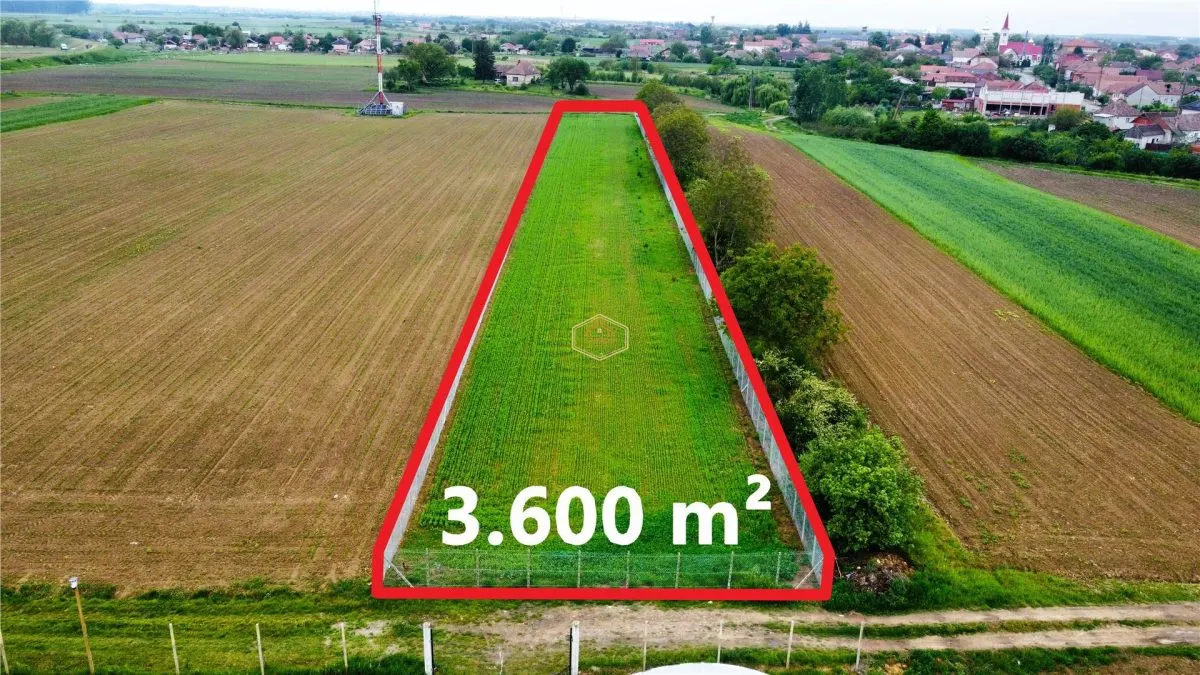 Teren 3.600 mÂ² in Odoreu | 7 km de Satu Mare | 160 m de Principala - foto 4