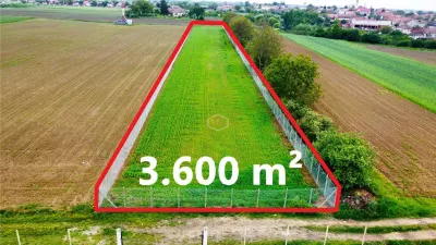 Teren 3.600 mÂ² in Odoreu | 7 km de Satu Mare | 160 m de Principala - foto 5