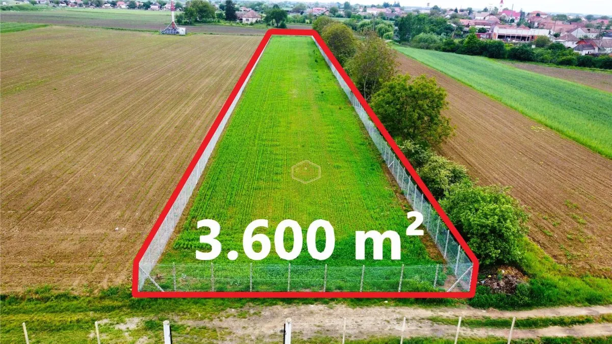 Teren 3.600 mÂ² in Odoreu | 7 km de Satu Mare | 160 m de Principala - foto 5