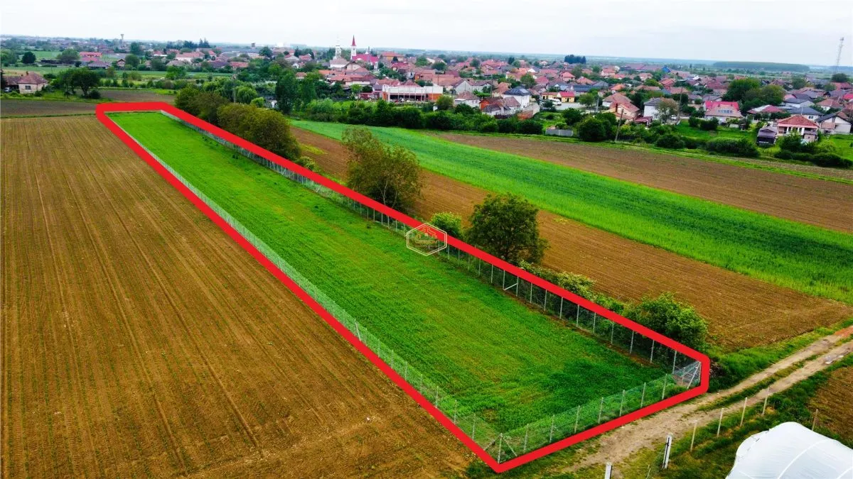 Teren 3.600 mÂ² in Odoreu | 7 km de Satu Mare | 160 m de Principala - foto 7