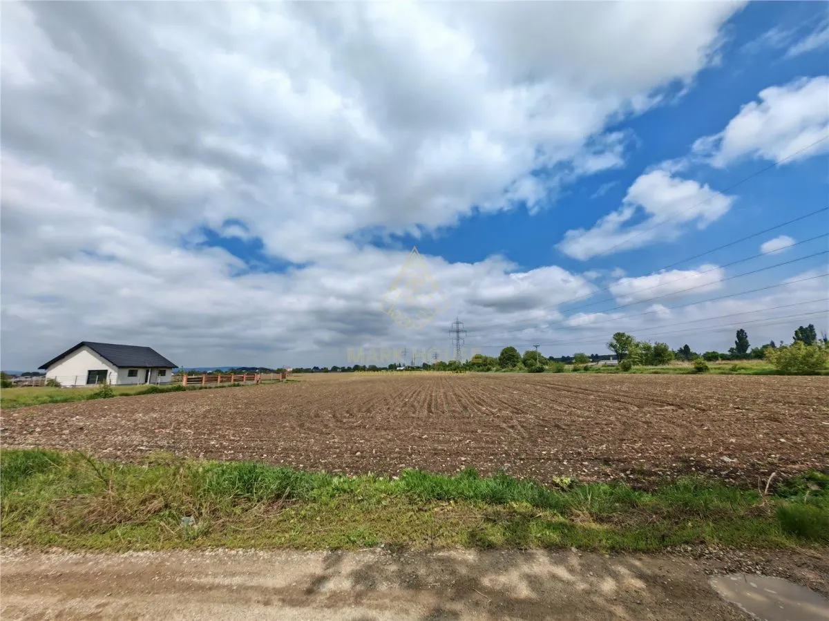 Teren intravilan 1800 mp, de vanzare, Serbanesti - foto 1