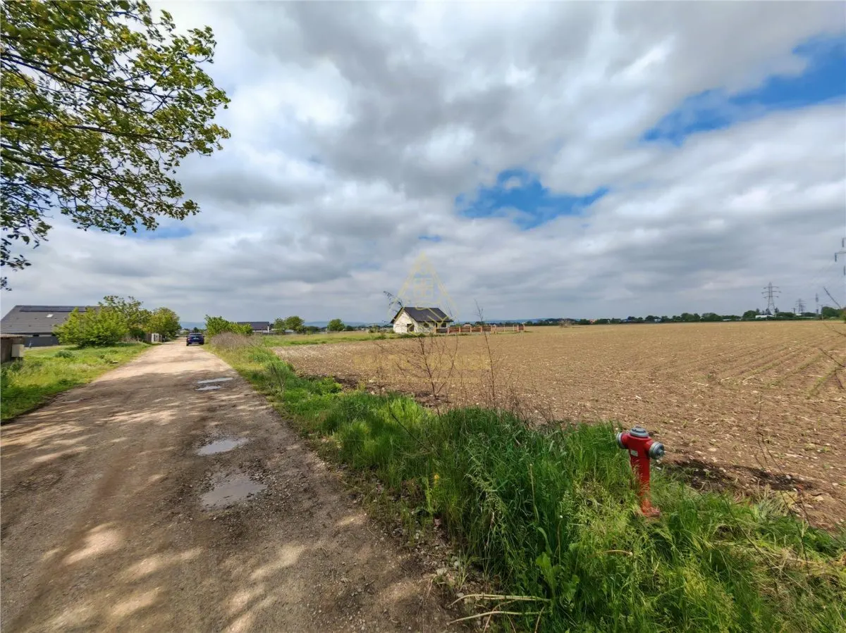Teren intravilan 1800 mp, de vanzare, Serbanesti - foto 2