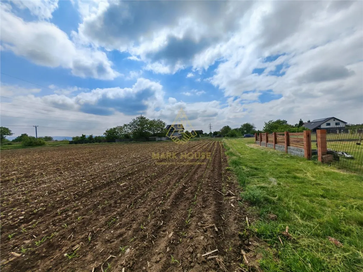 Teren intravilan 1800 mp, de vanzare, Serbanesti - foto 8
