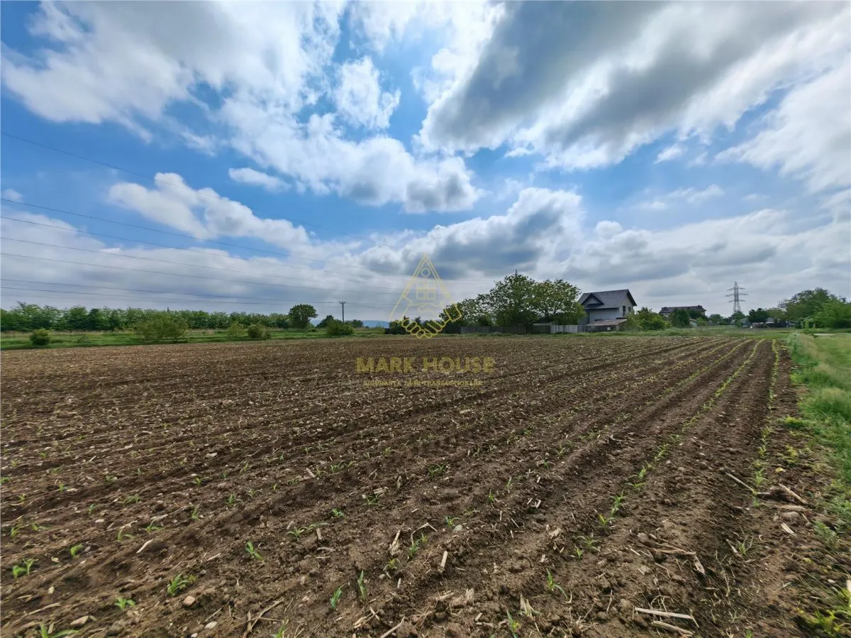 Teren intravilan 1800 mp, de vanzare, Serbanesti - foto 9