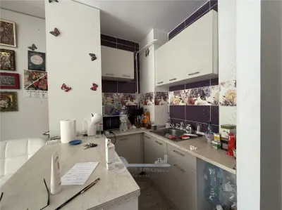 2 CAM TATARASI CU GRADINA 67 MP - foto 16