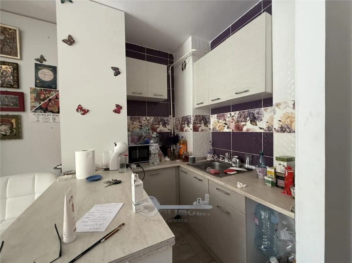 2 CAM TATARASI CU GRADINA 67 MP - foto 16