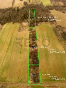 RECO Teren intravilan in Ceica Bihor - Ceica