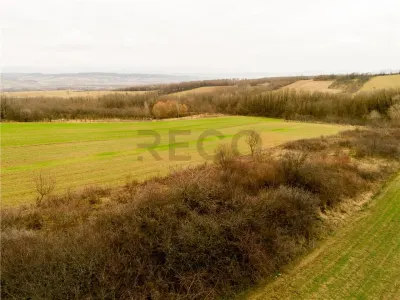 RECO Teren intravilan in Ceica Bihor - foto 2