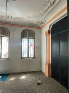 Vanzare vila Cismigiu cu autorizatie - foto 4