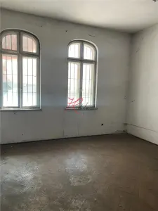 Vanzare vila Cismigiu cu autorizatie - foto 6