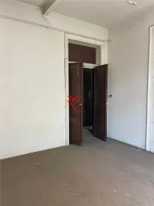 Vanzare vila Cismigiu cu autorizatie - foto 7
