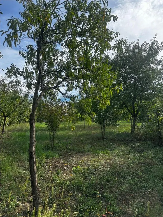 Reco Teren intravilan in Mizies - foto 1