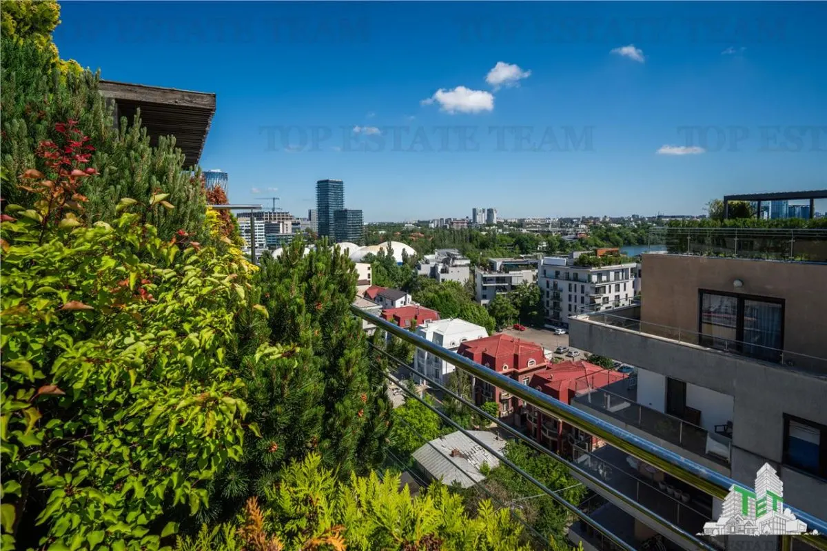 Penthouse 4 camere cu terasa de vanzare in zona Herastrau Bucuresti - foto 25