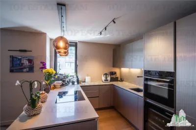 Penthouse 4 camere cu terasa de vanzare in zona Herastrau Bucuresti - foto 8