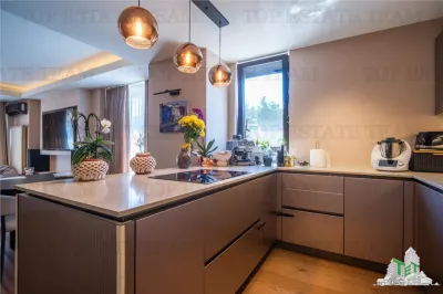 Penthouse 4 camere cu terasa de vanzare in zona Herastrau Bucuresti - foto 9
