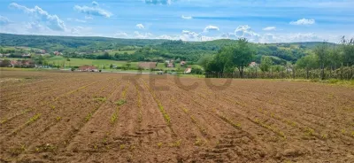 RECO Teren intravilan Hidiselul de Jos langa padure - Hidiselu de Jos