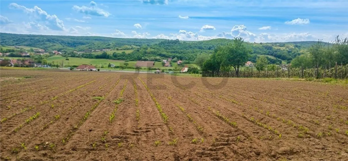 RECO Teren intravilan Hidiselul de Jos langa padure - foto 1