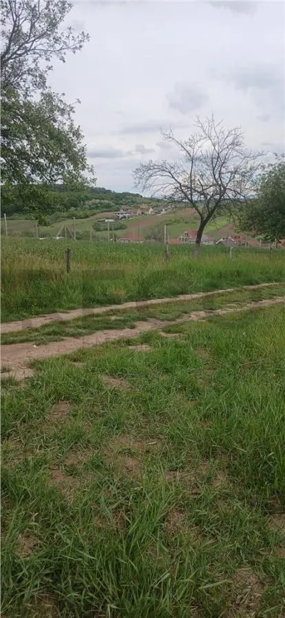 RECO Teren intravilan Hidiselul de Jos langa padure - foto 3