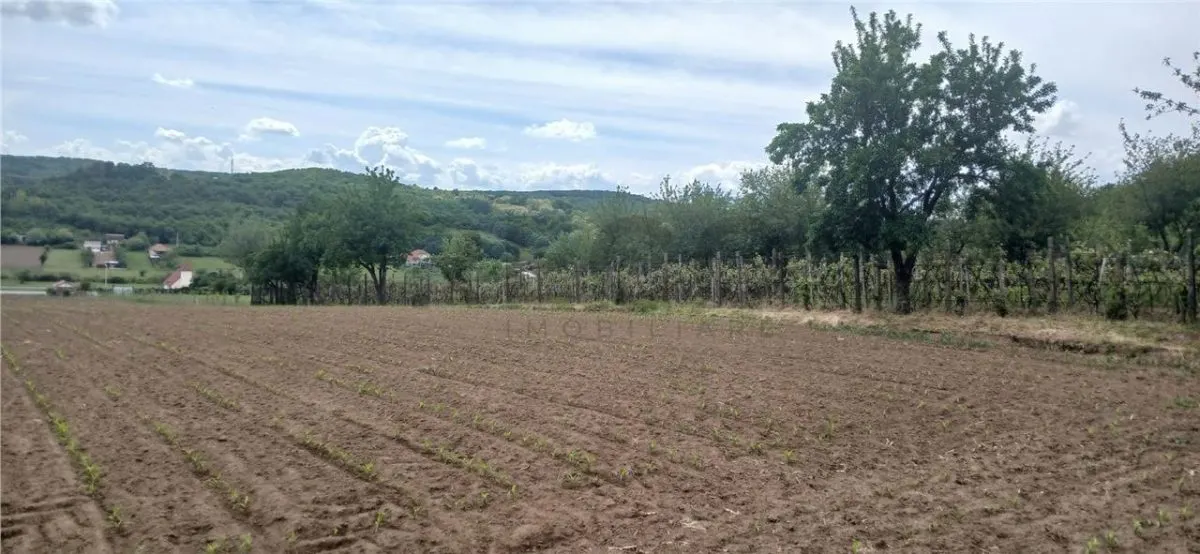 RECO Teren intravilan Hidiselul de Jos langa padure - foto 4