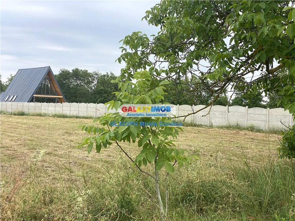 Vanzare teren intravilan Baicoi Pahova - foto 7