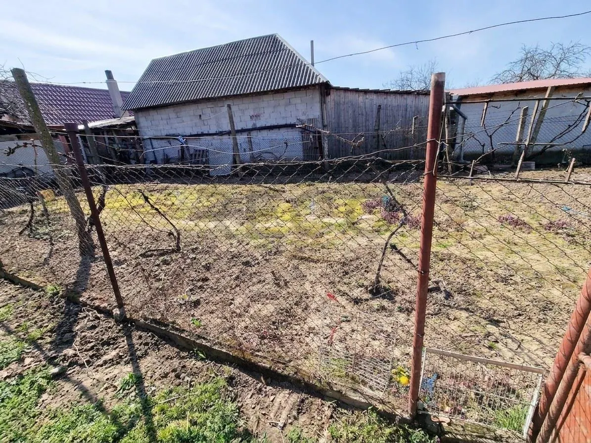 RECO Teren mare cu 2 case in Sabolciu, com. Sacadat - foto 12
