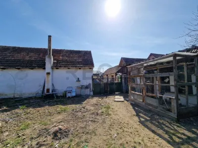 RECO Teren mare cu 2 case in Sabolciu, com. Sacadat - foto 15