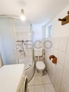 RECO Teren mare cu 2 case in Sabolciu, com. Sacadat - foto 7