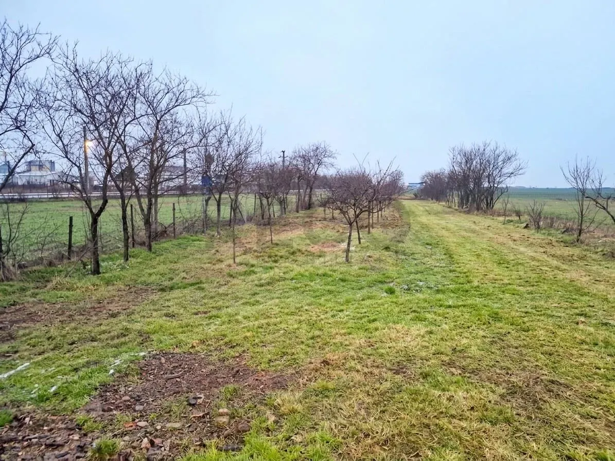 RECO Casa de vanzare in Bicaci, com. Gepiu - foto 14