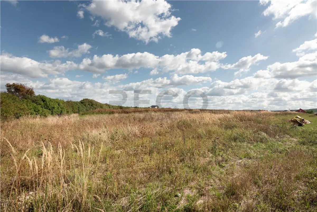 RECO Teren intravilan in Rontau - foto 6