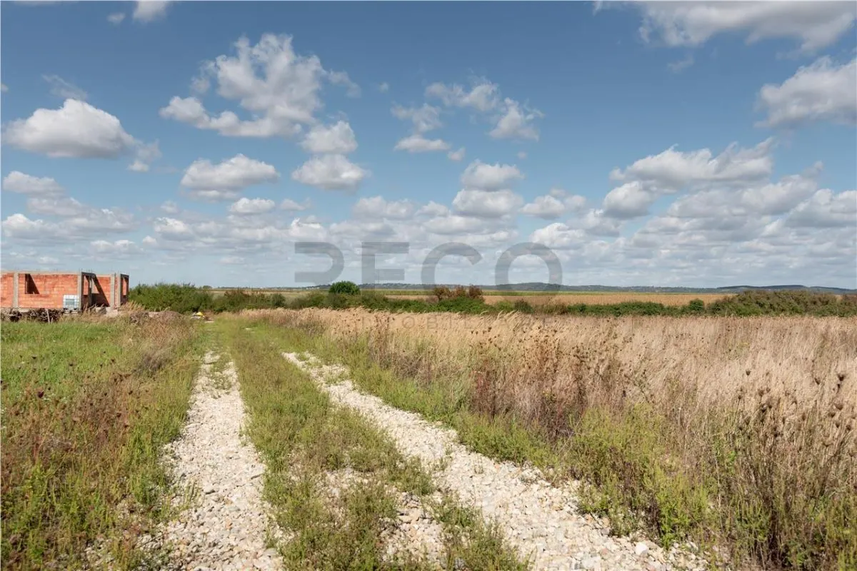 RECO Teren intravilan in Rontau - foto 7