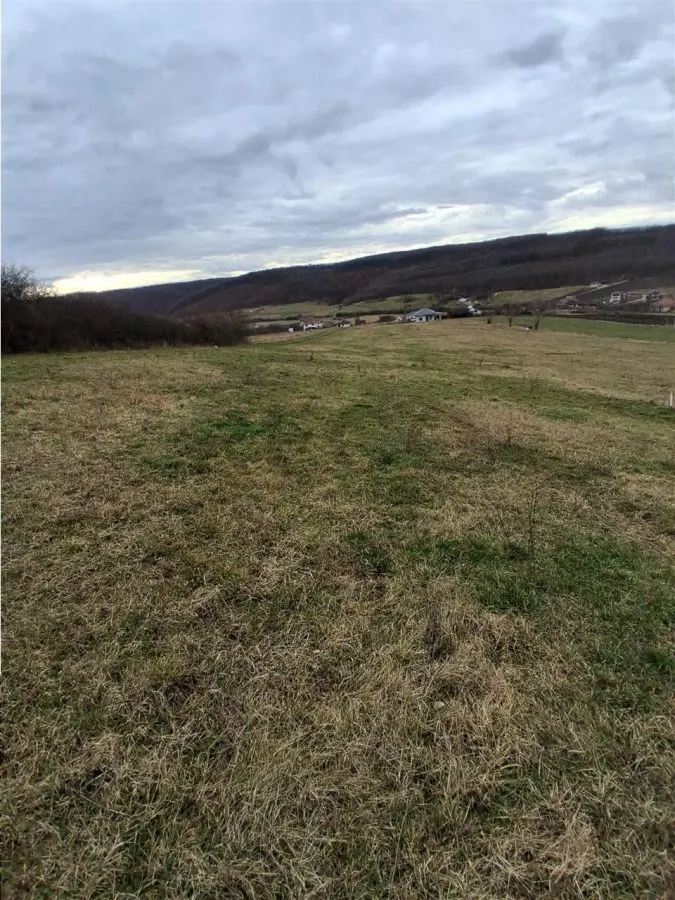 RECO Teren intravilan dublu front stradal- Betfia - foto 2