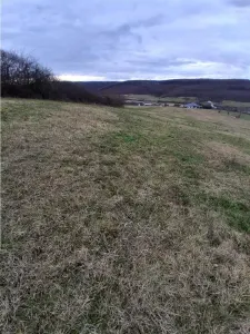 RECO Teren intravilan dublu front stradal- Betfia - foto 3