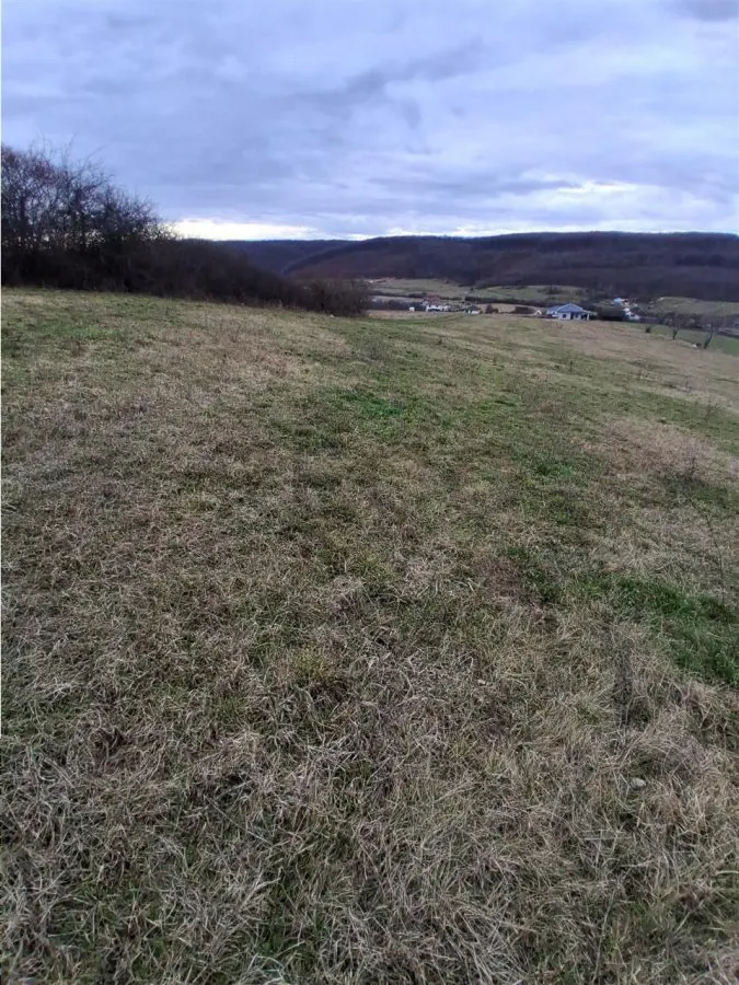 RECO Teren intravilan dublu front stradal- Betfia - foto 3