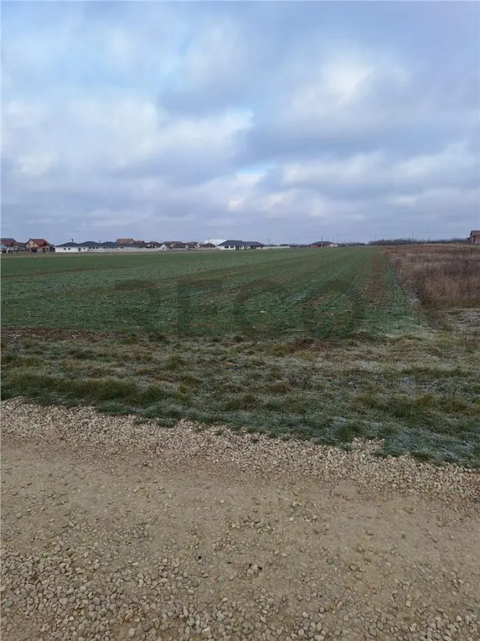 RECO  Teren intravilan- dublu front stradal Nojorid - foto 1