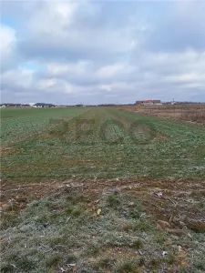 RECO  Teren intravilan- dublu front stradal Nojorid - foto 2