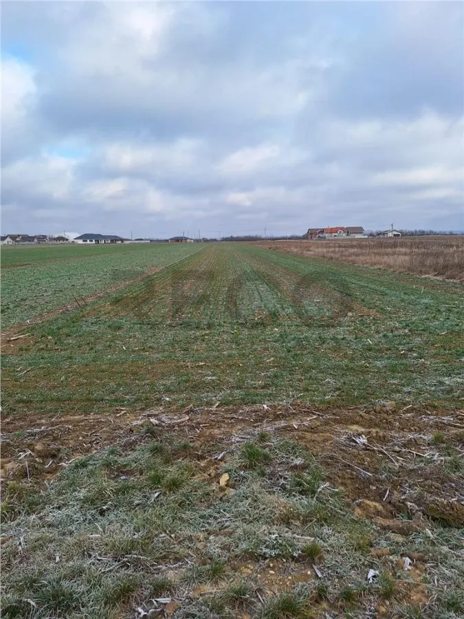 RECO  Teren intravilan- dublu front stradal Nojorid - foto 2