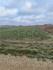 RECO  Teren intravilan- dublu front stradal Nojorid - foto 4