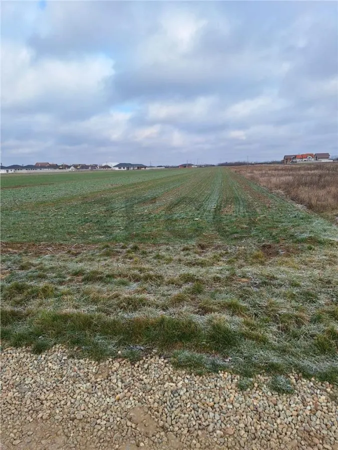 RECO  Teren intravilan- dublu front stradal Nojorid - foto 4