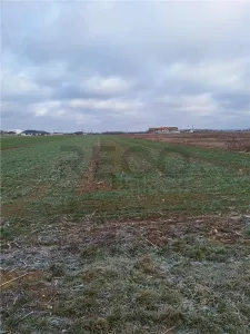 RECO  Teren intravilan- dublu front stradal Nojorid - foto 6