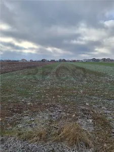 RECO  Teren intravilan- dublu front stradal Nojorid - foto 7