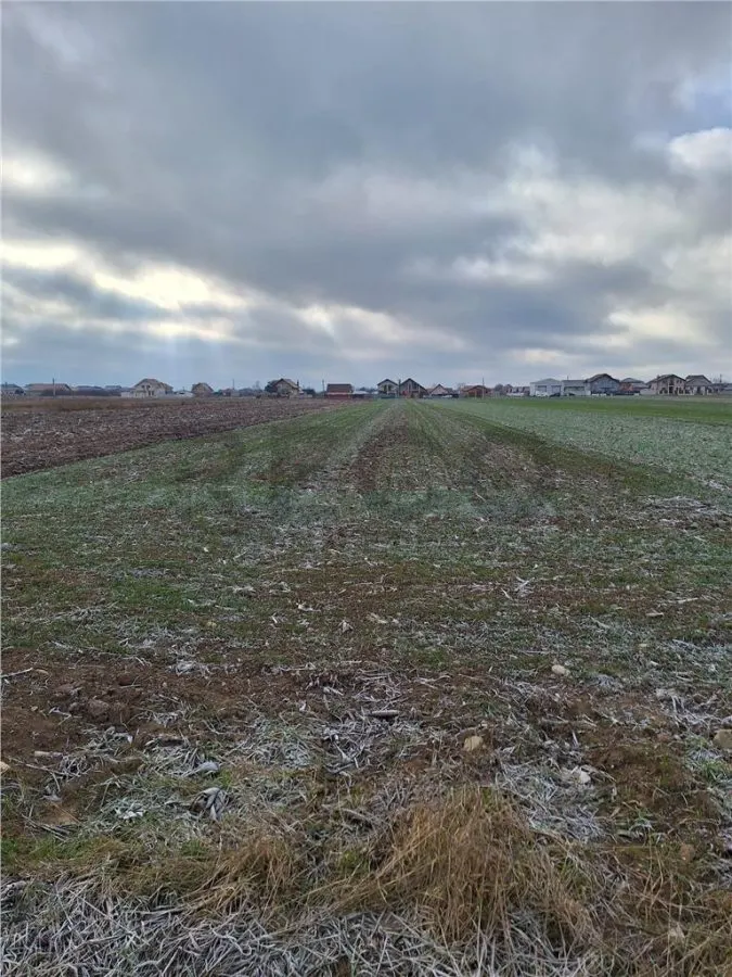 RECO  Teren intravilan- dublu front stradal Nojorid - foto 7